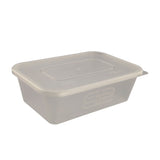SATCO plastic takeaway containers 250 x 650ml (British brand)