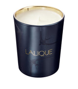 Harrods Lalique La Nuit Nairobi Scented Candle 190g- Buy online at McGrocer