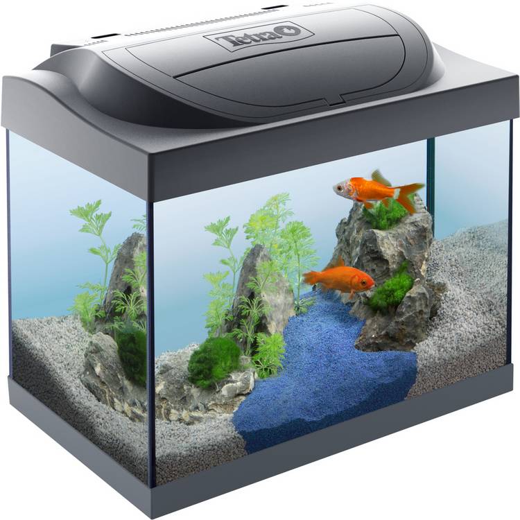 Tetra Starter Line 30L LED fish tank, imported from the UK