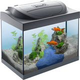 Tetra Starter Line 30L LED fish tank, imported from the UK