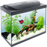 Tetra Starter Line 80L LED Fish Tank, imported from the UK