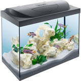 Tetra Starter Line 80L LED Fish Tank, imported from the UK