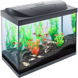 Tetra Starter Line 80L LED Fish Tank, imported from the UK