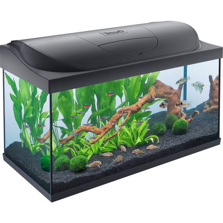 Tetra 105L LED fish tank starter kit - British product