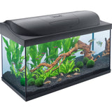 Tetra 105L LED fish tank starter kit - British product