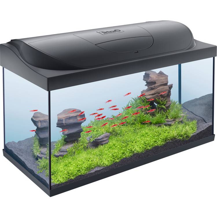Tetra 105L LED fish tank starter kit - British product