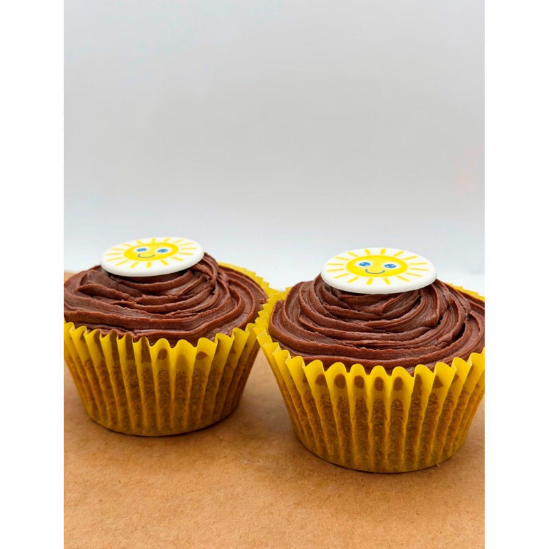 Emma's Country Cakes handmade cupcakes two pack, UK version