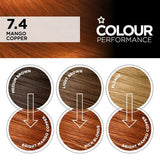 Superdrug permanent hair dye 7.4 Copper Burst (British brand)