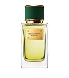 Dolce&Gabbana Velvet Vetiver Eau de Parfum 100ml, UK version