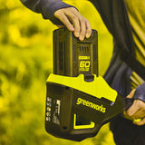 Greenworks 60V 4Ah battery and charger set - British product