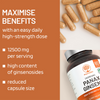 PharmaZen Korean Panax Ginseng Extract 60 Capsules, UK version