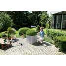 Bosch cordless shrub and grass shear 12cm - British product
