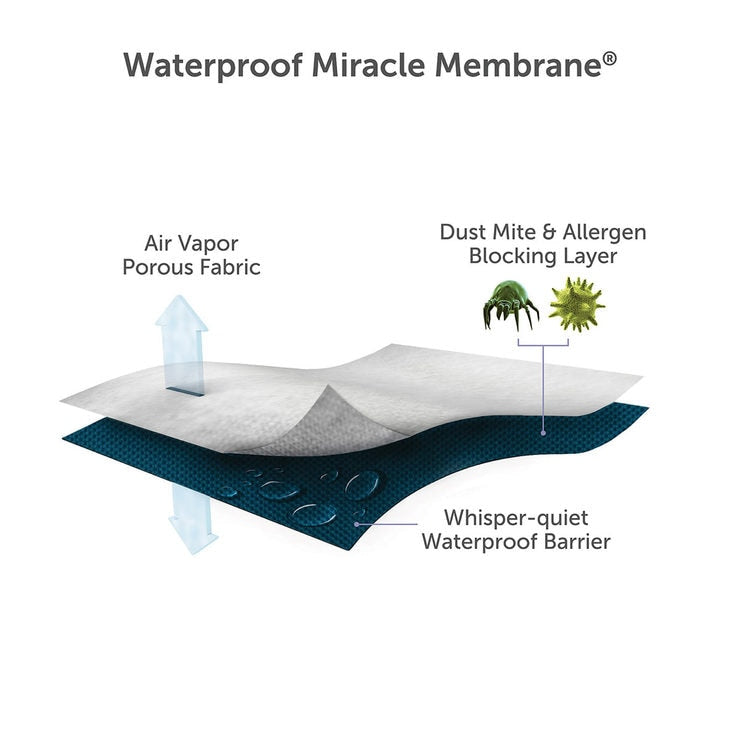 Protect-A-Bed cotton pillow protector 2 pack 75x50 cm (British brand)