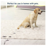 Vax Pet Stain & Odour Remover pack of 2 0.5L bottles, imported from the UK