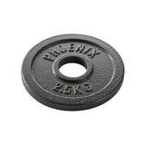 Superdrug Phoenix Fitness Weight Plate 2.5kg 2 Inch- Buy online at McGrocer