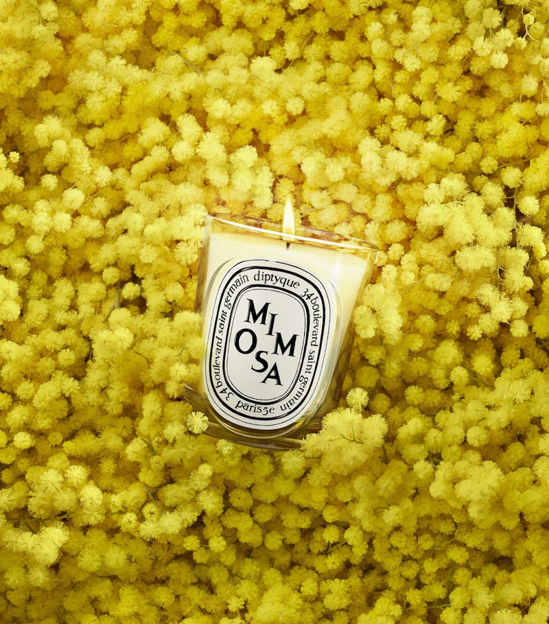 Diptyque mimosa scented candle 190g, UK version