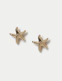 14ct gold plated starfish stud earrings, imported from the UK