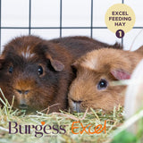 Burgess Excel Feeding Hay with Meadow Flowers 500g
