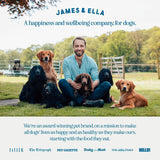 James & Ella dog food Kibble + Raw Grass Fed Beef 1.5kg (British brand)