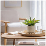 Habitat artificial aloe in reactive glazed pot 30.5cm, UK version