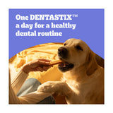 Pedigree Dentastix Daily Adult Medium Dental Sticks 128g, imported from the UK
