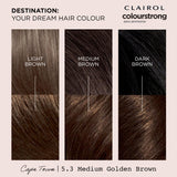 Sainsburys Permanent Hair Dye in Medium Golden Brown Shade 5.3 with Bonding Primer and Treatment- Buy online at McGrocer