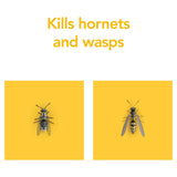 Raid rapid action wasp hornet spray 300ml, imported from the UK