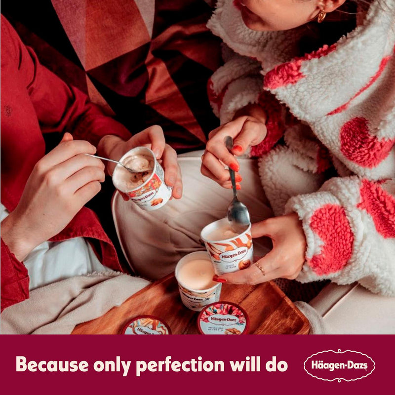 Haagen-Dazs Dulce De Leche ice cream 460ml, UK version
