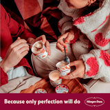 Haagen-Dazs Dulce De Leche ice cream 460ml, UK version