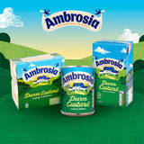 Ambrosia mini custard pots 6x55g lunchbox snack, imported from the UK