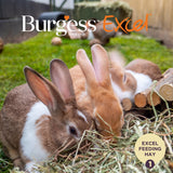 Burgess Excel Feeding Hay with Meadow Flowers 500g