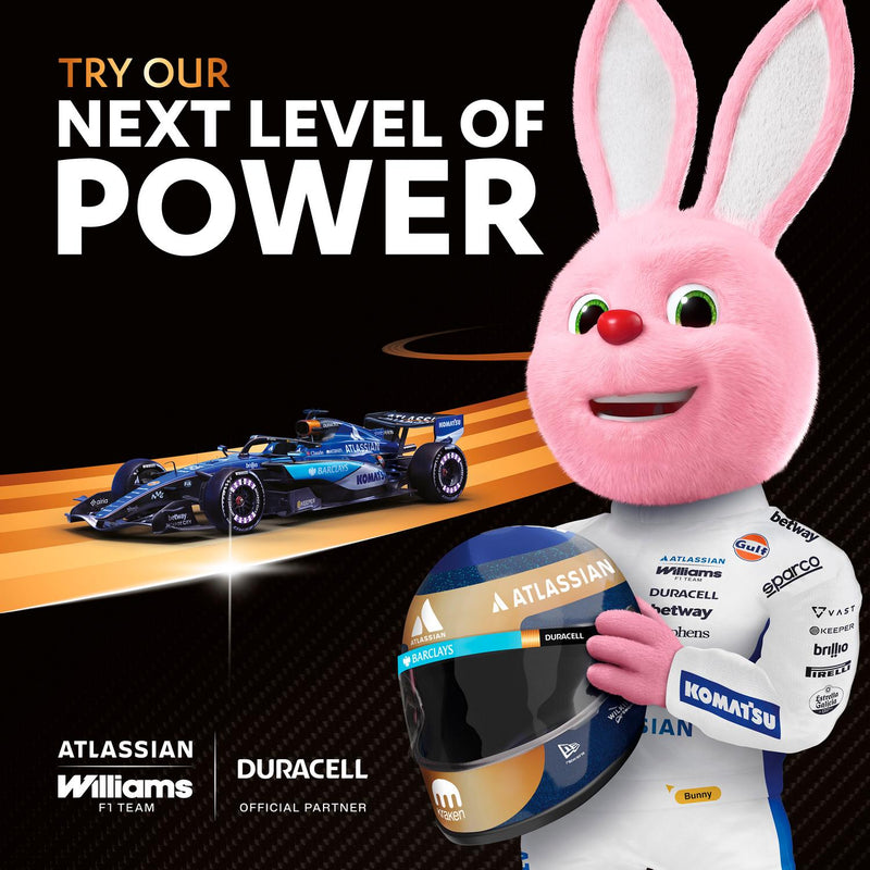 Duracell Optimum AA Batteries, pack of 12