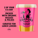 Sainsburys Mild Spiced Sweetcorn, Potato and Red Pepper Soup 560g- Buy online at McGrocer