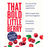 Ocean Spray Cranberry Juice 1L