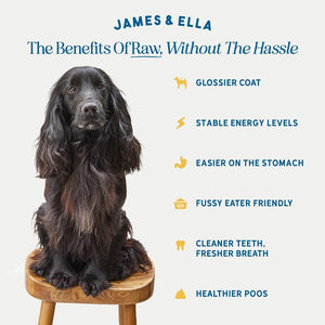 Freeze-Dried Raw Chicken Dog Food 500g