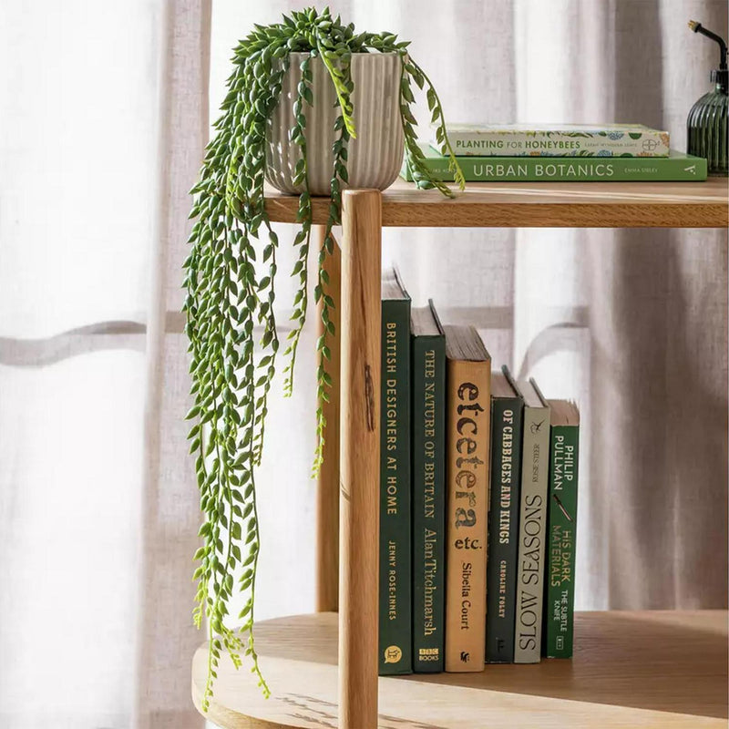 Habitat Artificial Trailing Plant String of Pearls 56cm, UK version