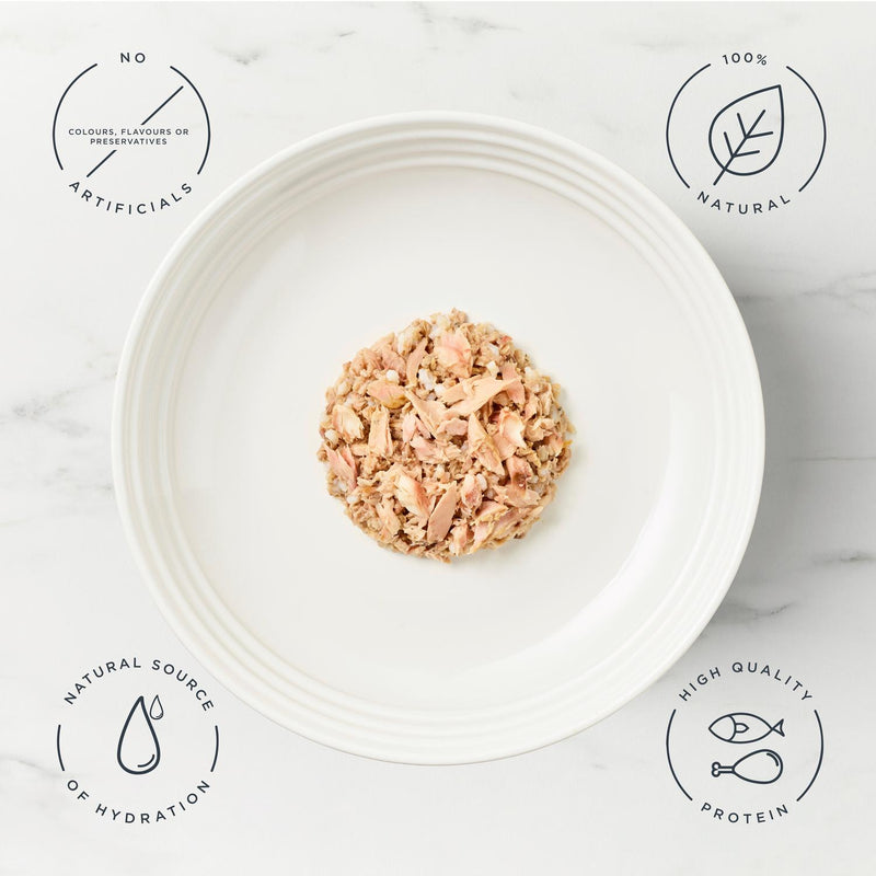 Encore Fish Selection In Broth Natural Cat Food Tins 12 x 70g