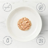 Encore Fish Selection In Broth Natural Cat Food Tins 12 x 70g