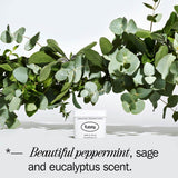 Fussy Natural Deodorant Refill Wavy Days 40g - British product