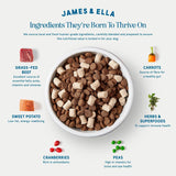 James & Ella dog food Kibble + Raw Grass Fed Beef 1.5kg (British brand)