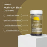 Sainsburys Mushroom Blend Wellness Gummies Blackcurrant Flavour 30 Count Vegan- Buy online at McGrocer