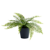 Habitat medium artificial fern in black pot, UK version