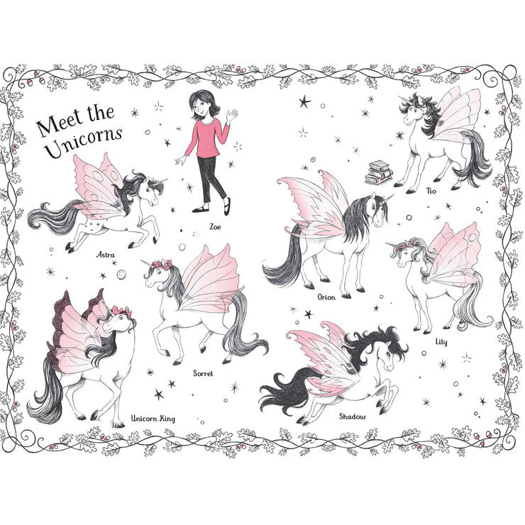 Fairy Unicorns box set six hardback books Zanna Davidson (British brand)