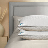 Sealy Deeply Full Pillow 2 pack - British product