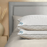 Costco UK Sealy Deeply Full Pillow 2 Pack- Buy online at McGrocer