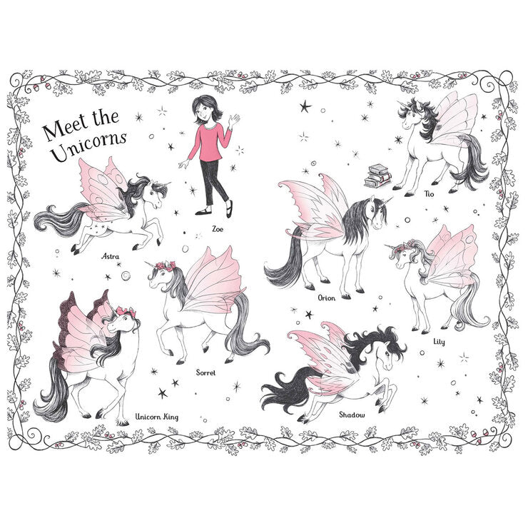 Fairy Unicorns box set six hardback books Zanna Davidson (British brand)