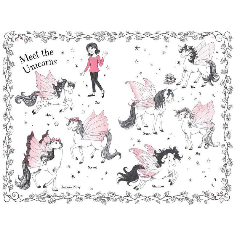 Fairy Unicorns box set six hardback books Zanna Davidson (British brand)