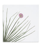 Summerill & Bishop gastronomic herb garden linen napkins 50cm x 50cm (British brand)