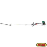 Costco UK Webb 26cc 42cm Petrol Long Reach Hedge Trimmer- Buy online at McGrocer