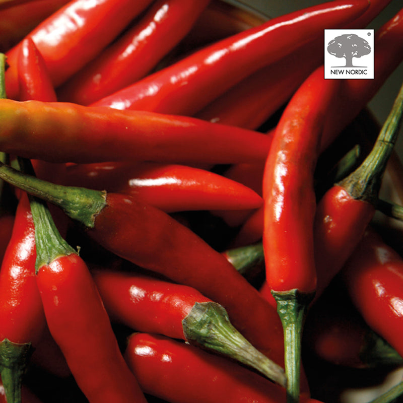 New Nordic Chili Burn 60 Tablets, imported from the UK